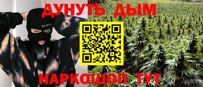 сатива Апшеронск