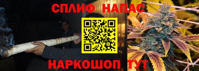 спиды Аргун