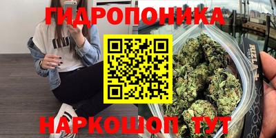 твердый Краснодар