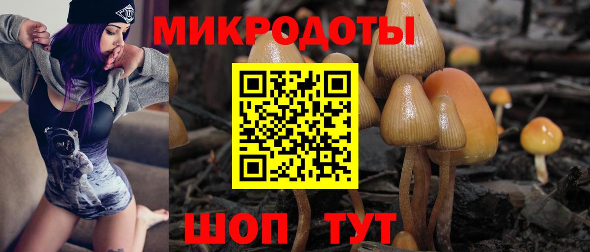 Иркутск  Псилоцибиновые грибы GOLDEN TEACHER  Вход с VPN 